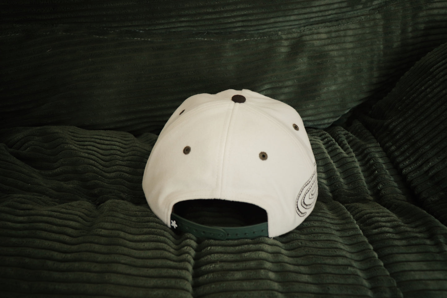 Worm Spiral - Hat