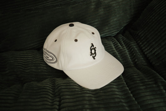 Worm Spiral - Hat
